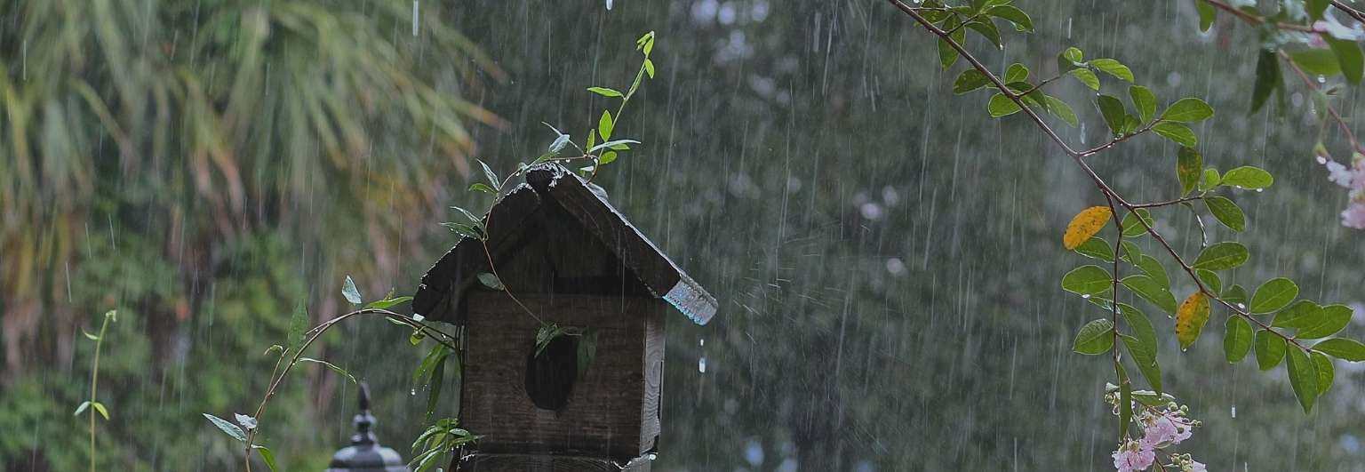 Storm Damage