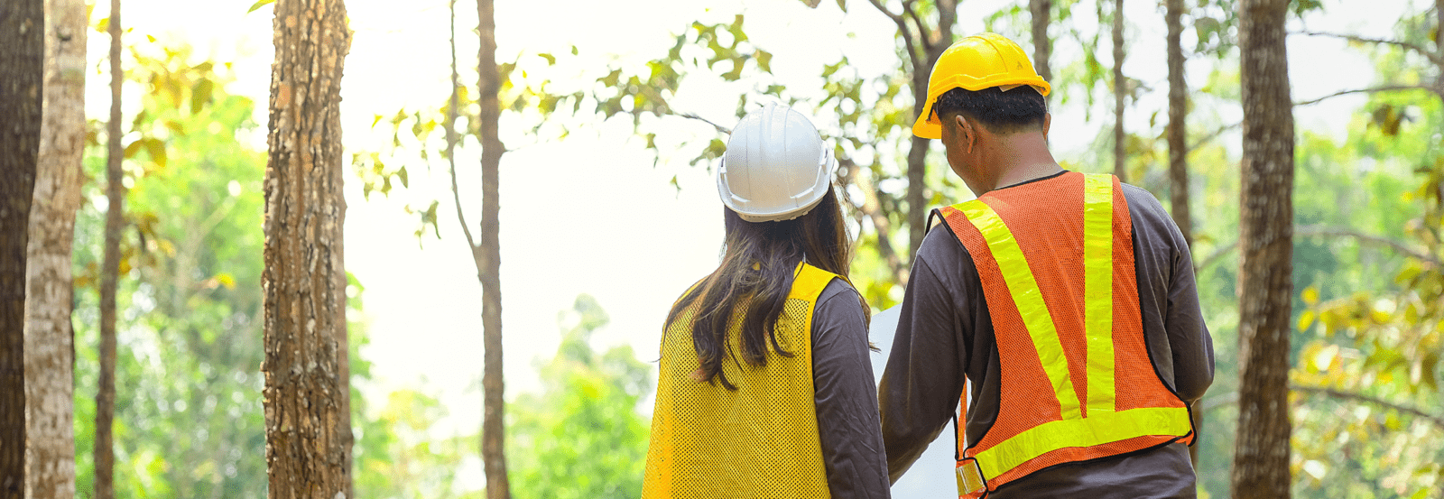 assessing environmental factors