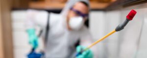 Pest Control Insurance