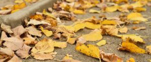 Fall Parking Safety