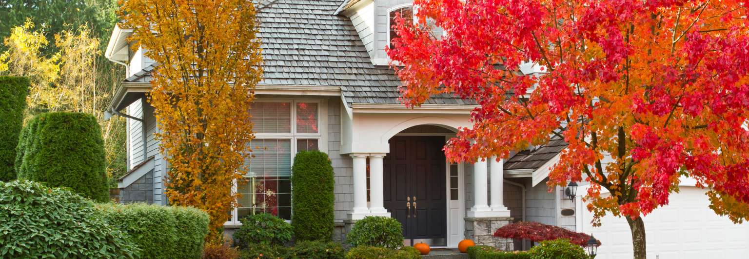 Tips for Homeowners During the Holiday Season