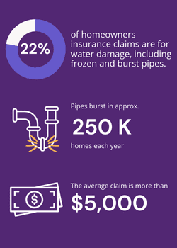 Preventing Frozen Pipes Infographic